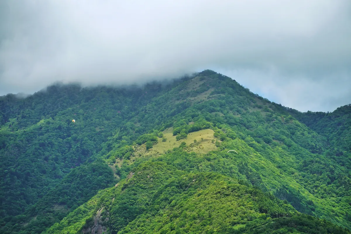 霧に包まれた緑の山