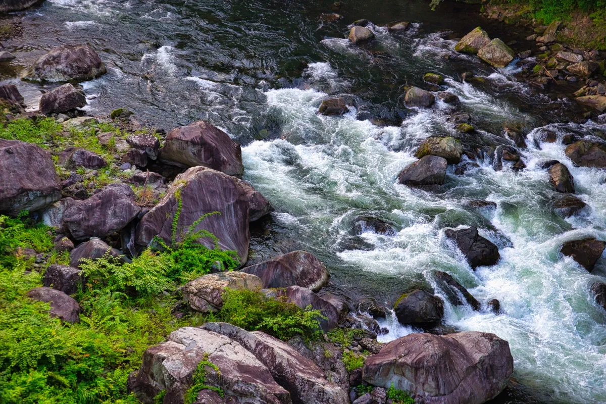 苔むした岩を流れる渓流