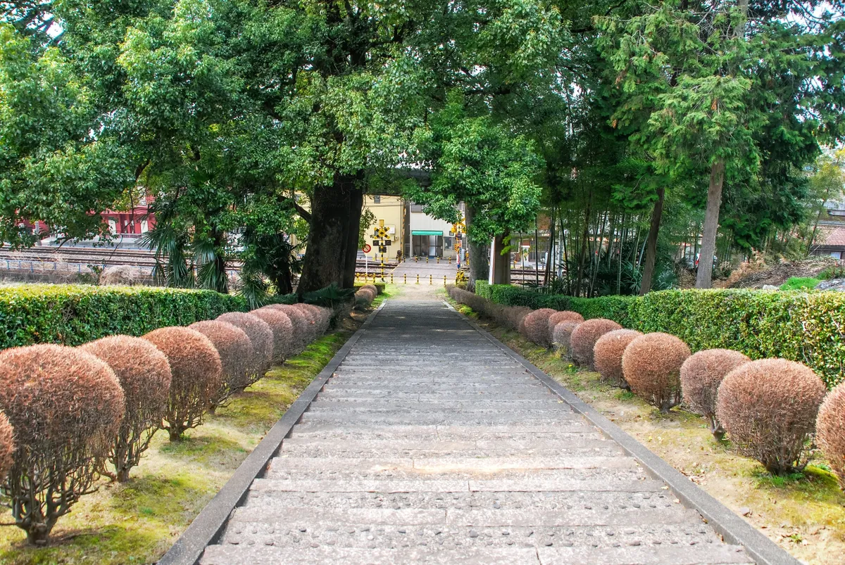 椿並木のある参道