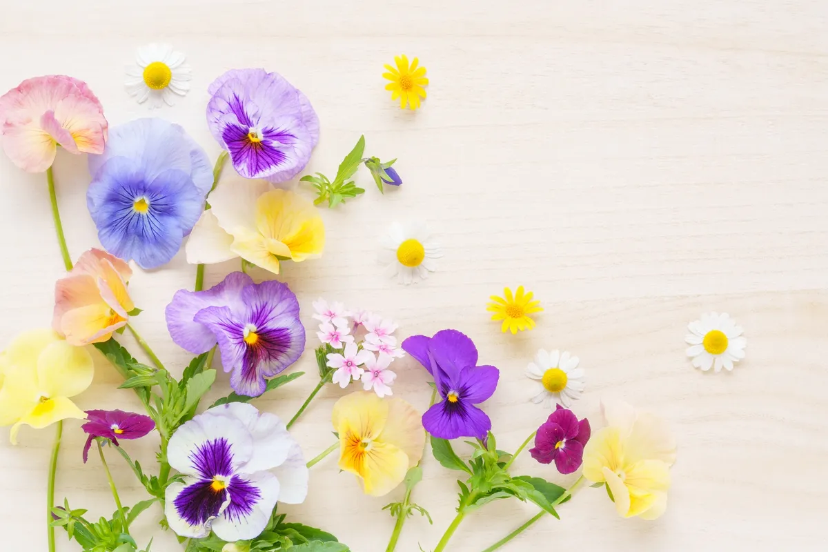 春の花の彩りアレンジ