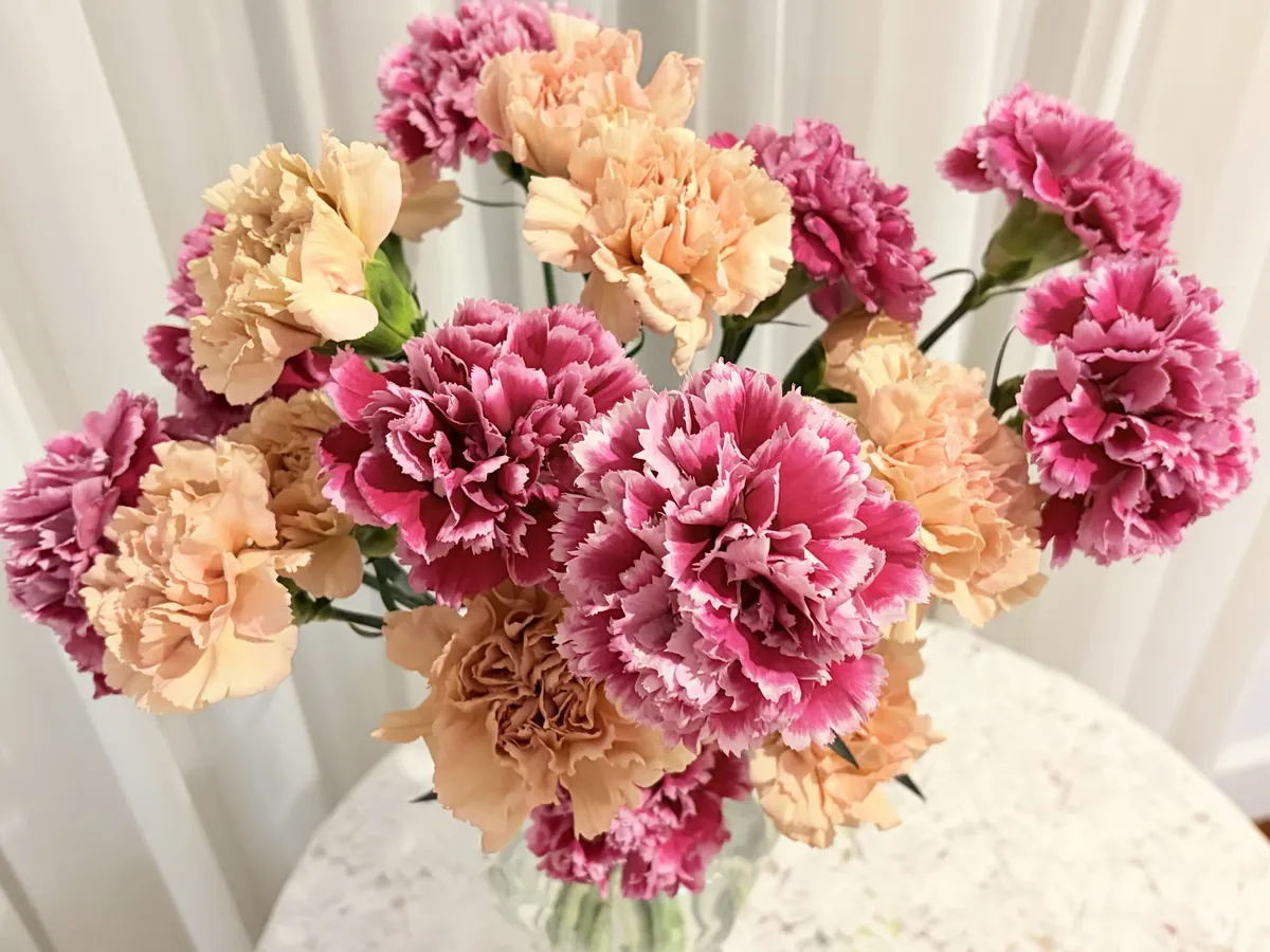 カーネーションの花束