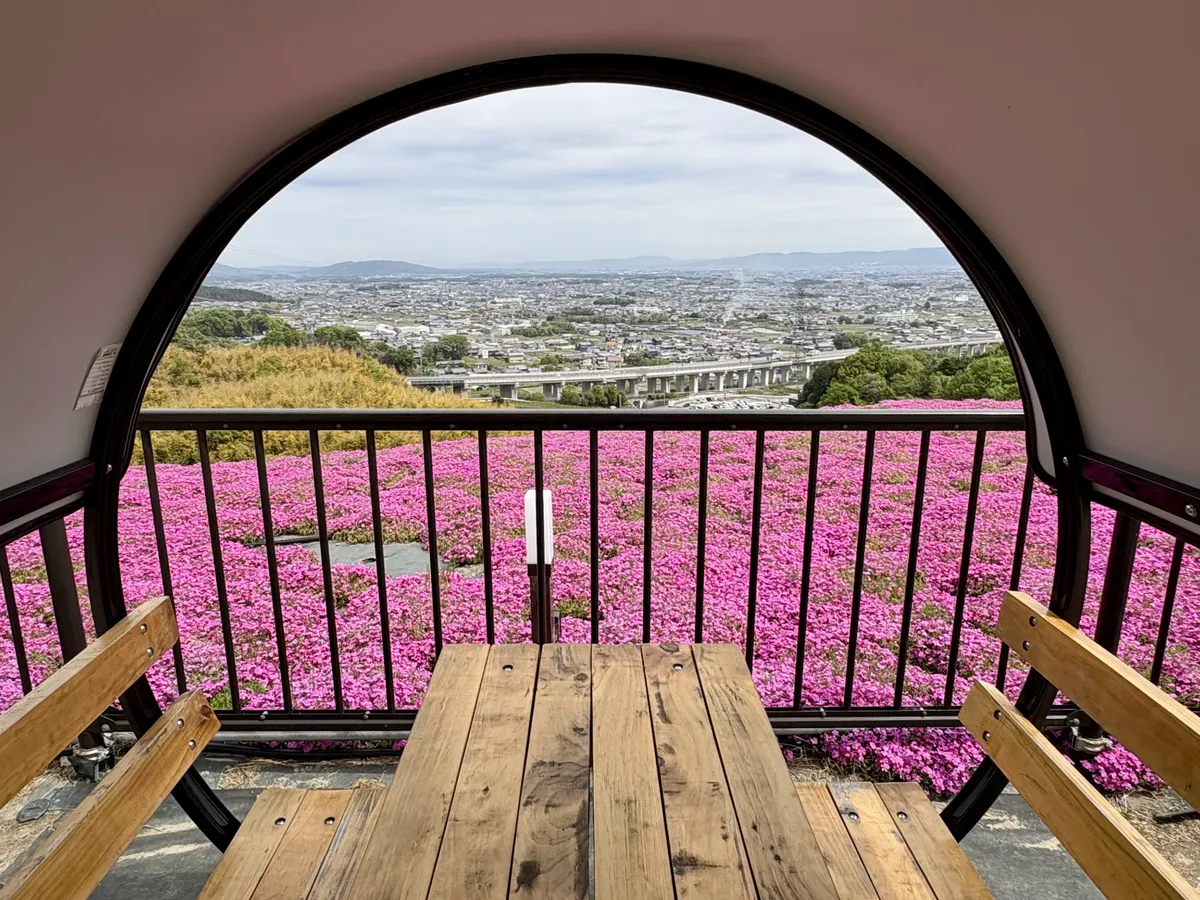 円窓越しの芝桜と絶景