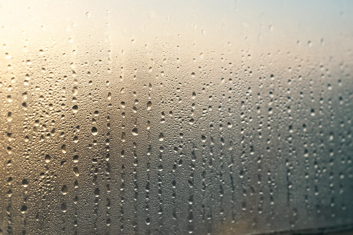 住まいの結露・カビ・湿気問題の原因と対策を示す生活知恵の参考画像。