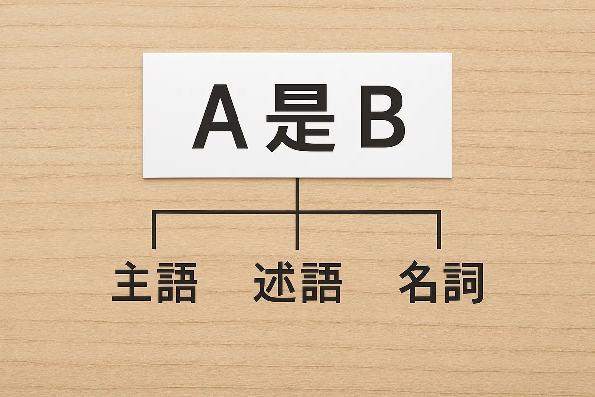 名詞述語文 AはBです 主語是名詞 中国語基本文型 文法構造 述語 名詞 是 肯定文 パターン例文