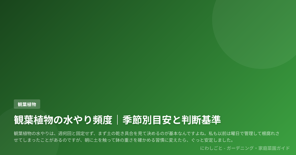 観葉植物の水やり頻度|季節別目安と判断基準