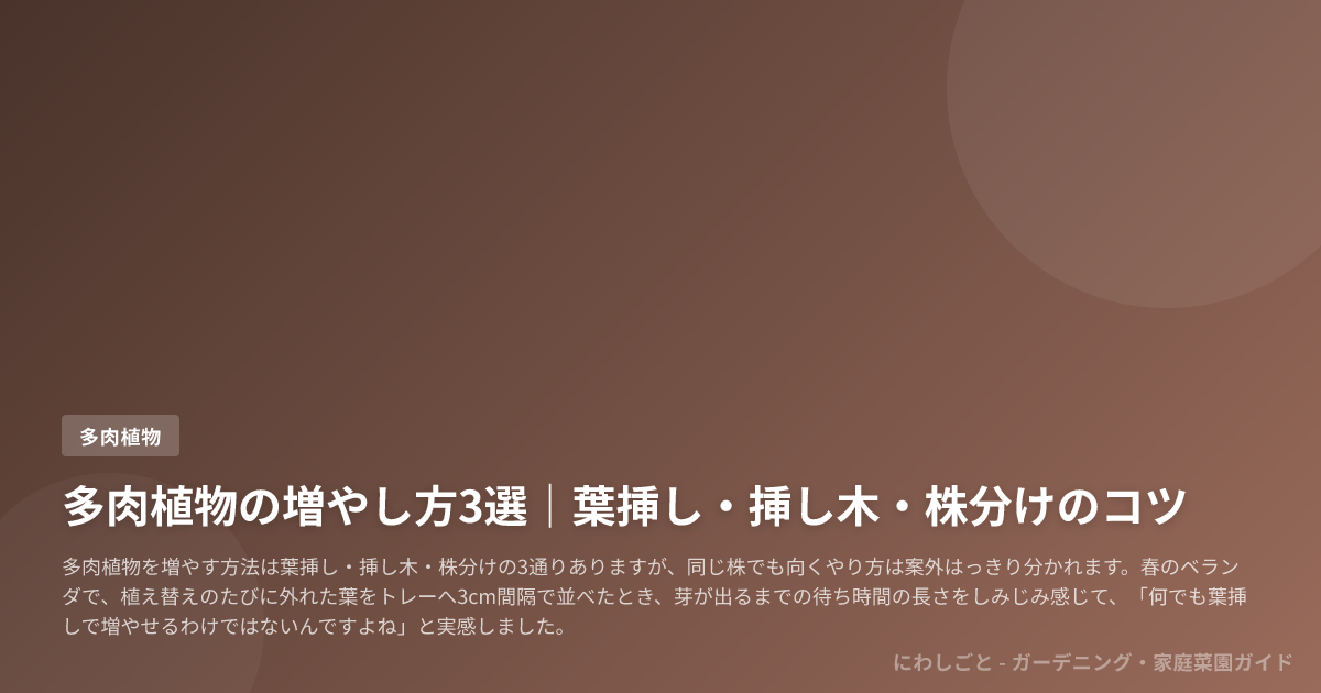 多肉植物の増やし方3選|葉挿し・挿し木・株分けのコツ